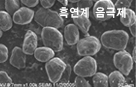 구형의 흑연계 음극재